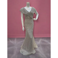 Beige Chiffon Evening Gown with Silver Embellishments and Mermaid Cut