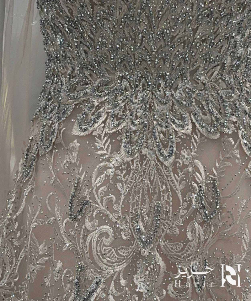 فستان سهرة فاخر بلون فضي شامبين مطرز بالكامل بقصة صدر V مع أكمام كاب تول