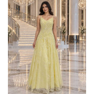 Light Yellow A-Line Evening Dress with 3D Lace Embroidery