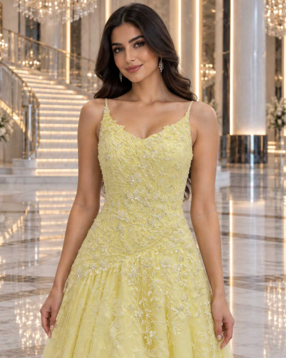 Light Yellow A-Line Evening Dress with 3D Lace Embroidery